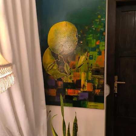 Feudo 43 Reggio Calabria